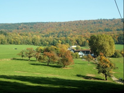 Фото: Bierhelderhof